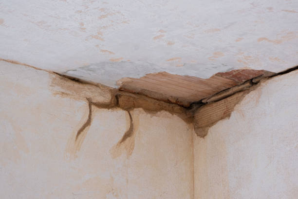 Best Local water damage restoration  in West Liberty, OH