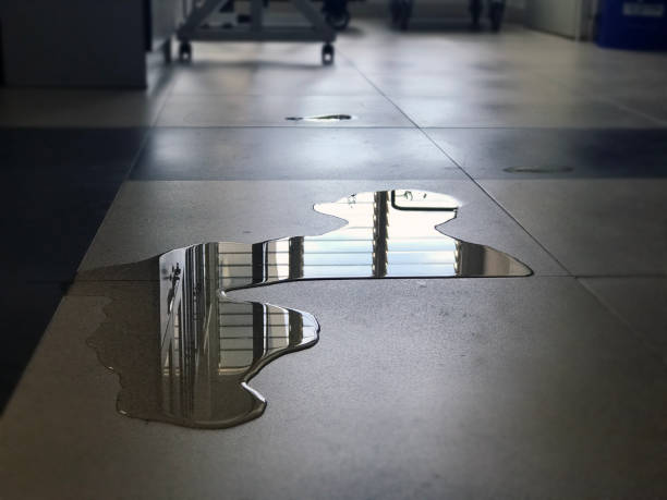 Best Water damage restoration near me  in West Liberty, OH