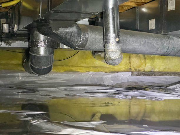 Best Water damage restoration company  in West Liberty, OH