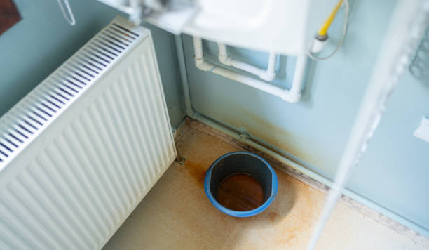 Best 24/7 water damage repair  in West Liberty, OH