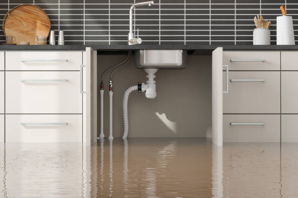 Best Water damage restoration near me  in West Liberty, OH